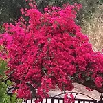 λυδια Holiday home Kalamata